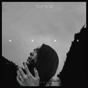 一龙五凤杨幂唐嫣双胞胎
