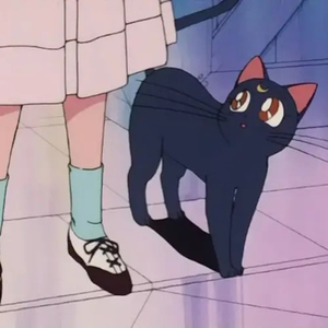 一龙五凤杨幂唐嫣双胞胎
