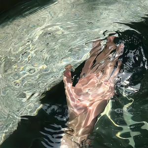 一龙五凤杨幂唐嫣双胞胎
