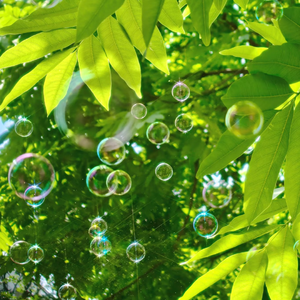 一龙五凤杨幂唐嫣双胞胎
