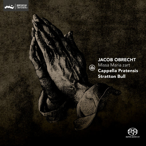 一龙五凤杨幂唐嫣双胞胎
